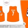 Áo lưới 10A2 THPT Nguyễn Trãi - Hình 1