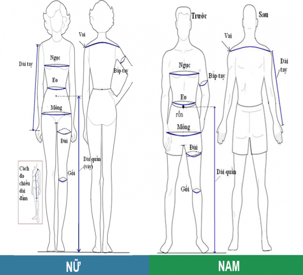 Nên đo kích thước của cơ thể trước khi chọn size áo đồng phục